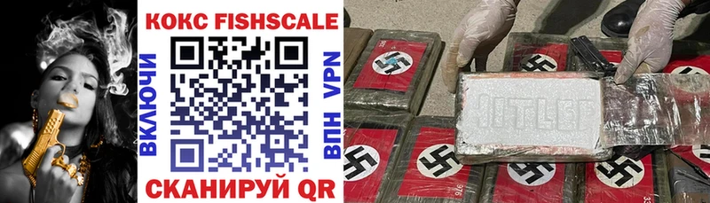 Где продают наркотики Петропавловск-Камчатский Каннабис  Меф мяу мяу  MEGA ТОР  APVP  Гашиш  КОКАИН 