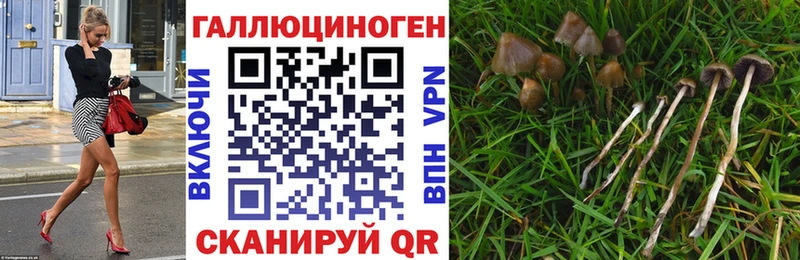 Галлюциногенные грибы Magic Shrooms  дарк нет какой сайт  Петропавловск-Камчатский 